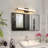 Brynie Dimmable LED Vanity Light-1799209534