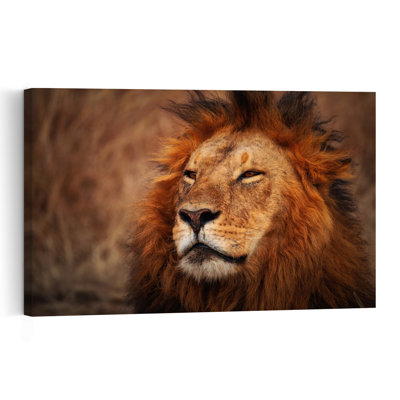 Majestic Lion Portrait Serene Contemporary Cat Lion Nature Portrait Wall Art Print 1 Piece Wrapped Canvas Wall Art