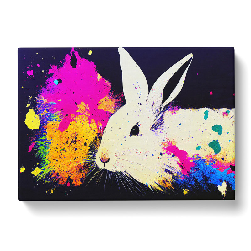 Rabbit Splash Vol.2 Abstract - Wrapped Canvas, 35cm H x 50cm W x 3cm D