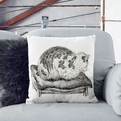Square Throw Cushion