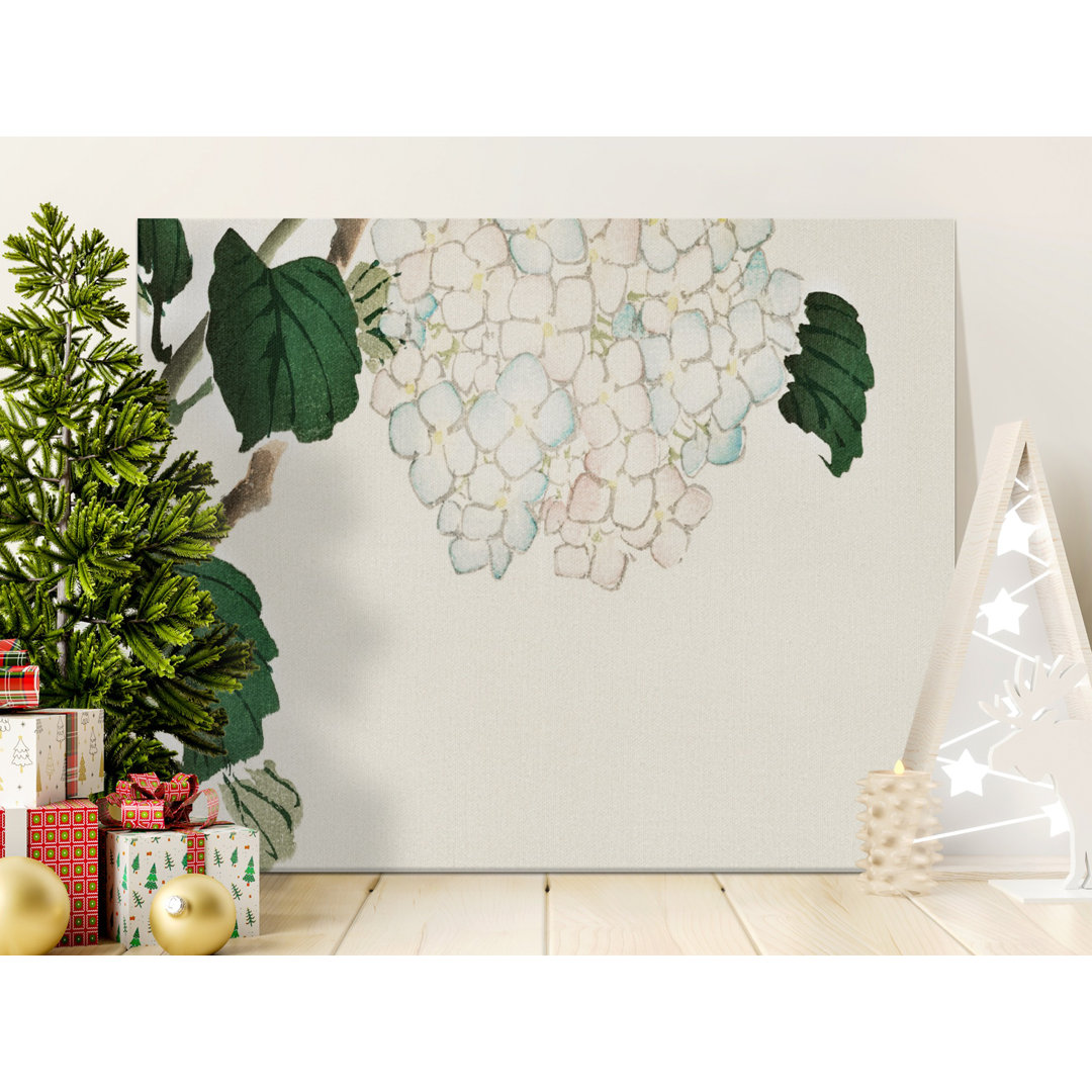 Japanese Hydrangea Floral Botanical Canvas Print