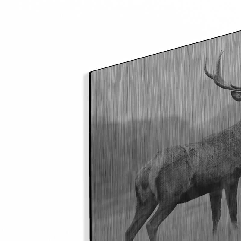 «Proud Deer» par PhotoINC Studio, H 12 po x l 12 po
