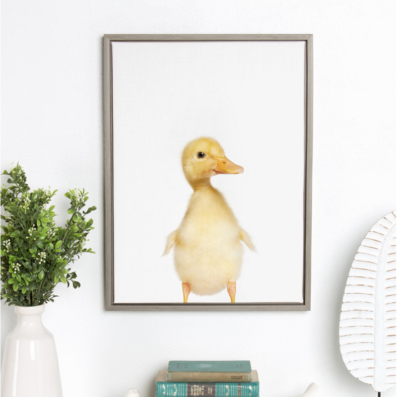 "Animal Studio Duck" par Amy Peterson, reproduction d'art sur toile encadrée, Gris