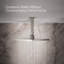 Pomme de douche à pluie Contemporary-218671375-169007077-169007078