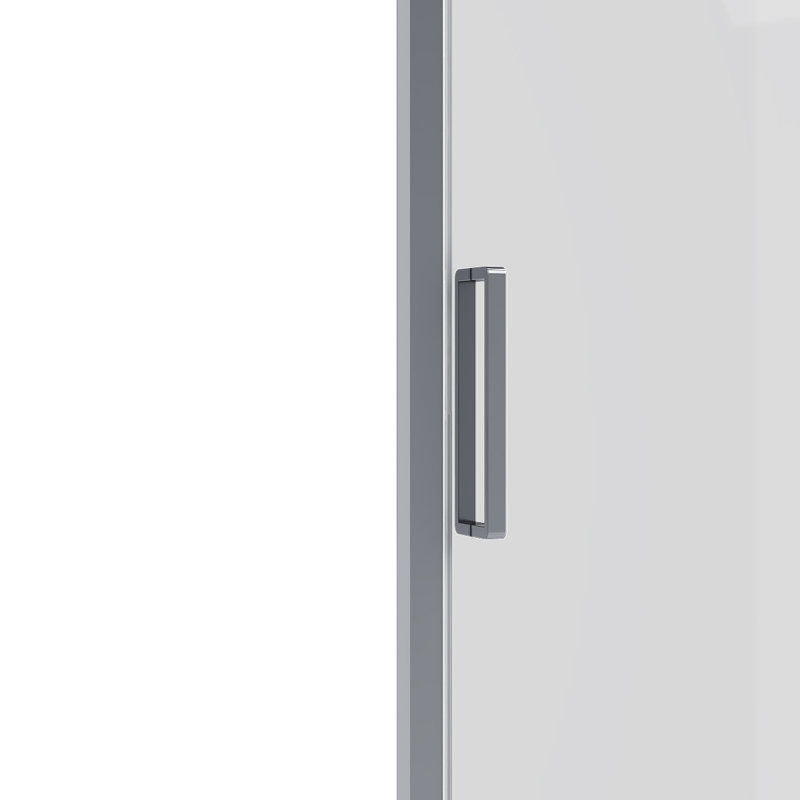 Porte de douche l 36 po x H 74 po, Chrome