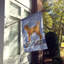 Labradoodle en polyester brun clair 2 côtés 40 x 28 po drapeau maison