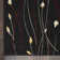 Abgail Floral Black Area Rug