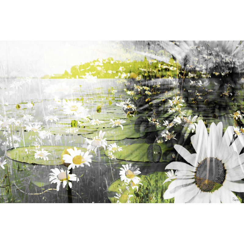 1 Piece Wrapped Canvas Wall Art, 41cm H x 61cm W