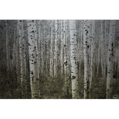 Reproduction de photo sur métal « aspen highland » par paris taj