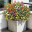 12 pièces de fleurs artificielles résistantes aux rayons UV et à l'extérieur (mélange de couleurs)