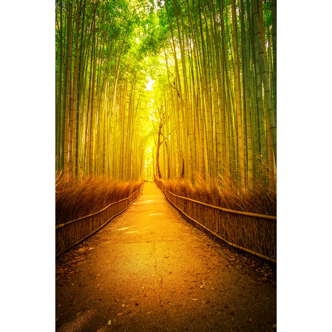 Leinwandbild Arashiyama Bamboo Kyoto