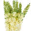 Tige de fleur artificielle Cole et Grey