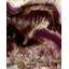 One Last Kiss Print by Blakely Bering-63912207-63912211