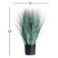 Queensland Blue Oat Grass Drop-In 32"