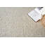 Ferretti Wool Area Rug in Ivory/Silver-497204572