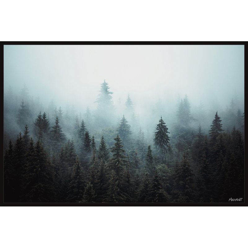 Foggy Pine Forest - Print, Black Floater Frame Canvas, 30cm H x 45cm W x 3.81cm D