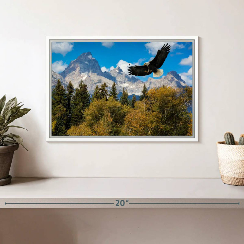Grand Teton Eagle, Cadre flottant blanc, 13 po x 9 po