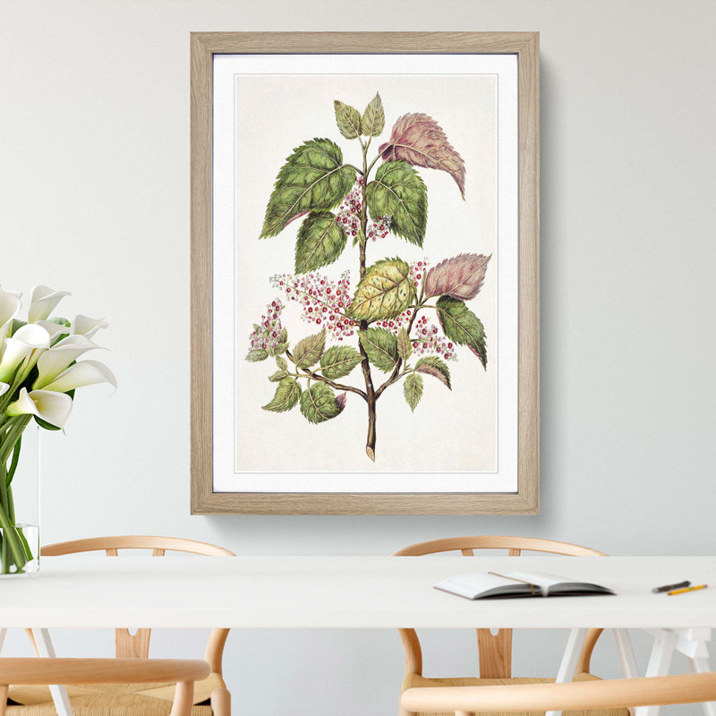 Pink Flowering Flowers by Sarah Featon - Framed Print, 48cm H x 36cm W x 2cm D, Oak Framed