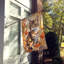Chat en feuilles d'automne-112700495