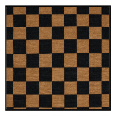Machine Washable Checkered Black Area Rug