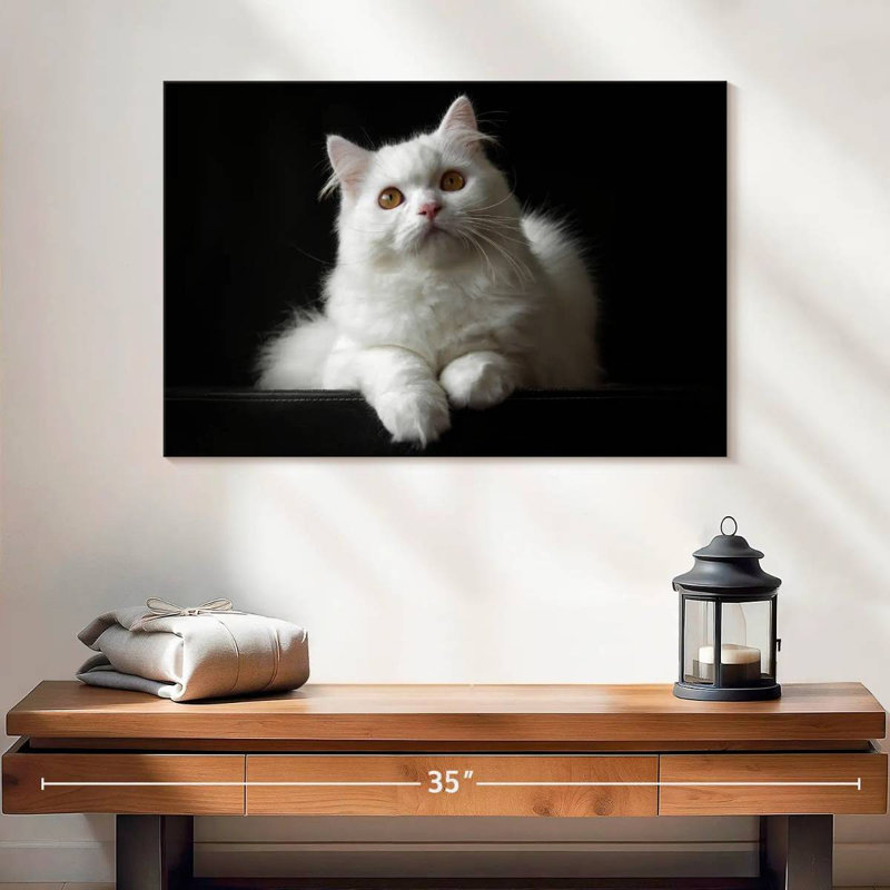 White Persian Cat, 20" H x 30" W