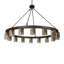 16 - Light Chandelier
