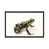 Black Floater Frame
