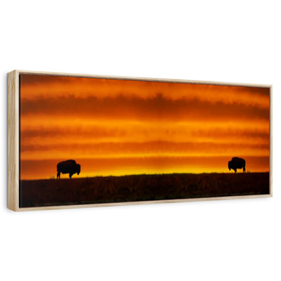 Sunrise Over Bisons
