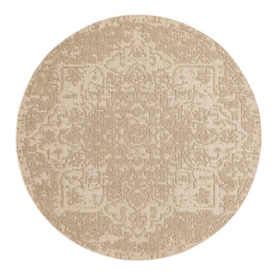 Indoor/Outdoor Traditional Area Rug