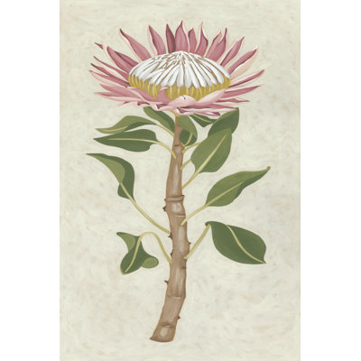 Protea I - Wrapped Canvas Print