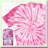Fuchsia Tie-Dye Kit 3/36 Pack