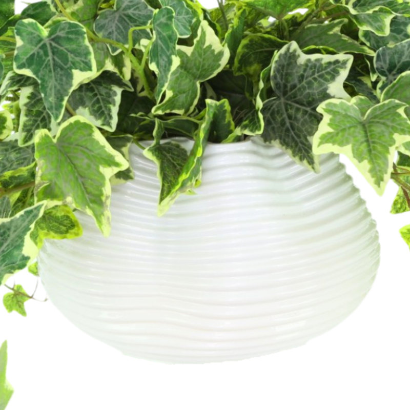 Jenner Faux Ivy Plant in Glass Vase