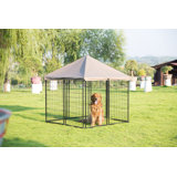 All-Purpose 5 ft. x 4.5 ft. x 4.5 ft. Foldable Portable Dog Kennel With Cover and Carry Bag