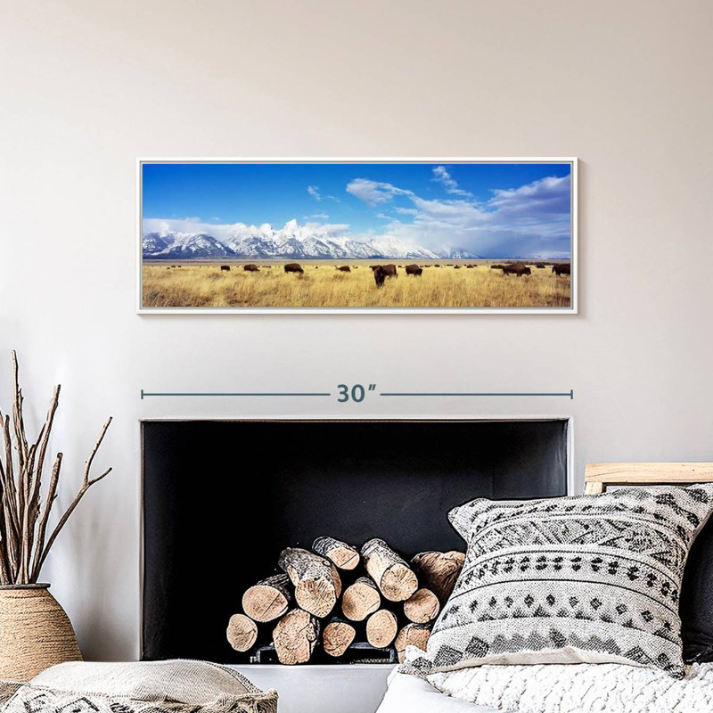 Bison Herd At Grand Teton National Park WY, Floating Frame White, 31" X 11"