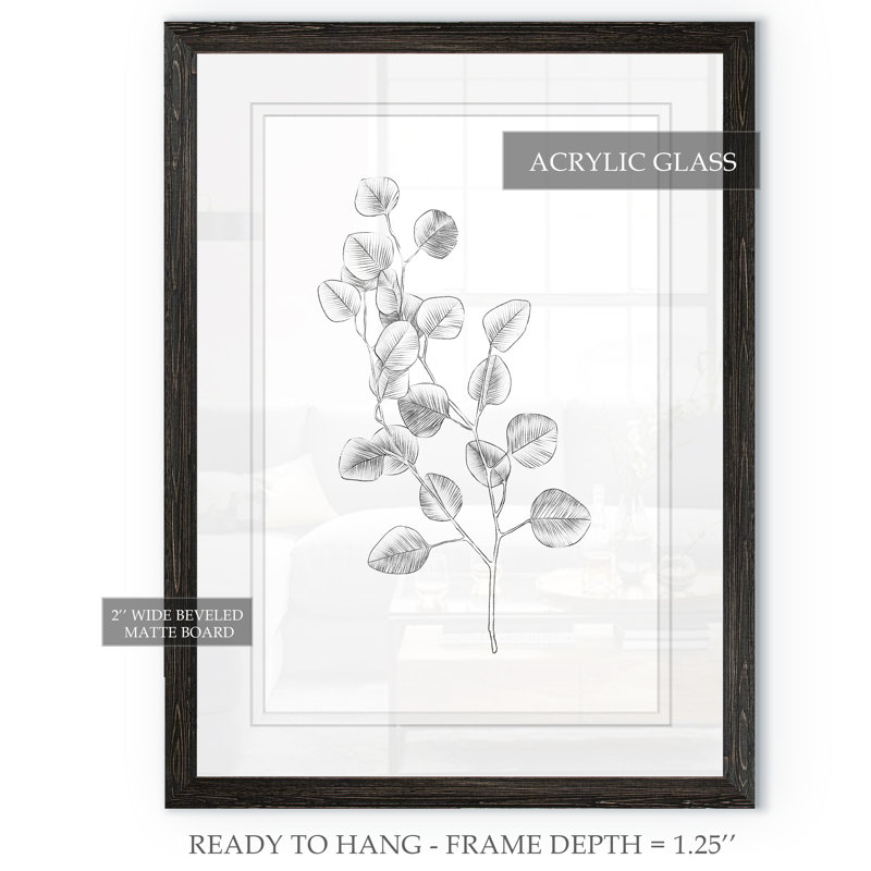 " Eucalyptus Sketch IV ", 38" H x 28" W x 1.3" D, Ebony Framed Print