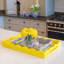 Lacquer Decorative Tray-822641755-822641757