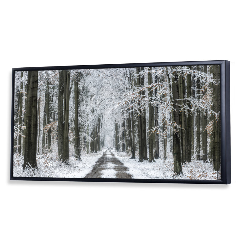 Forêt d'hiver - Photographie sur toile, Cadre noir, H 8 po x l 12 po x P 1 po