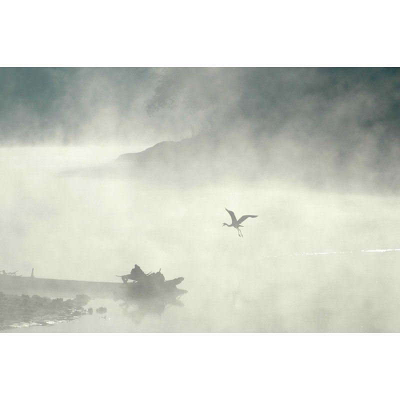 Décalcomanie murale brouillard ii, 24 po x 36 po