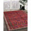 Tapis traditionnel 100% lavable à la machine Ameara 4388-608401606
