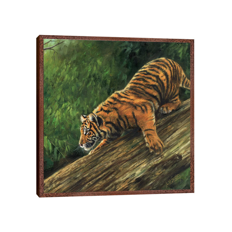 Tiger In Tree by David Stribbling - Floater Frame Gallery-Wrapped Canvas Giclée on Canvas