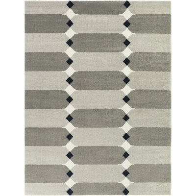 Cagnie Dark Grey/Light Grey Southwest Modern Area Rug