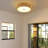 Allexia Acrylic Flush Mount