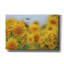 «Happy Hummingbird And Sunflowers» par Carrie Ann Grippo-Pike, art mural sur toile, 40 po x 26 po