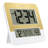 Digital Atomic Two-Tone Clock with Temperature
