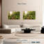 Passerelle Lilie Mossy Forest-107694050