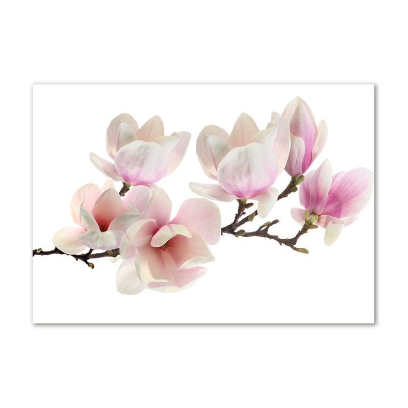 Magnolia - Wrapped Canvas Print