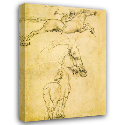 Esquisse d'un cheval
