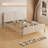 Jozetta 63.3" Queen Beds Upholstered Platform Bed with Storage-1822789838