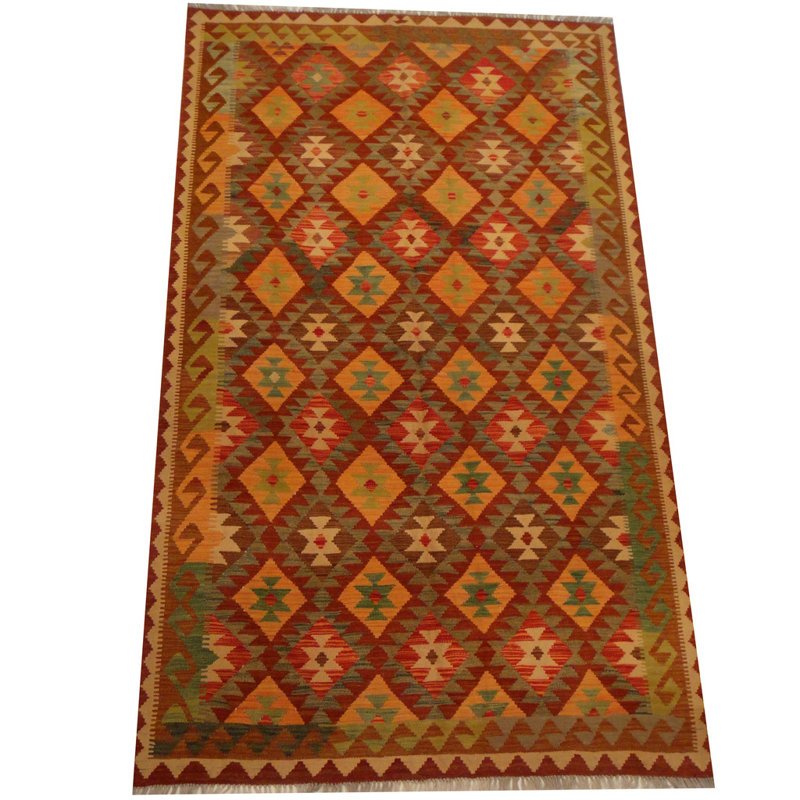 Azpeitia Wool Southwestern Indoor Rug