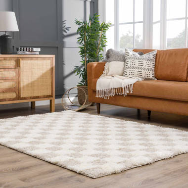 Dannyell Rectangle Checkered Machine Woven Polyester Area Rug in Light Gray/White Latitude Run Rug Size: Rectangle 6'7 x 9